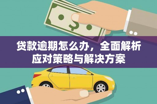 苑里贷款逾期怎么办，全面解析应对策略与解决方案
