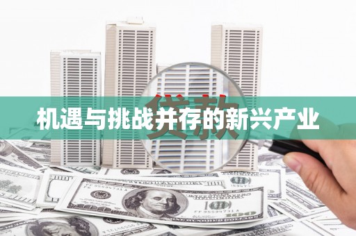 苑里机遇与挑战并存的新兴产业