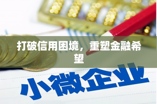 苑里打破信用困境，重塑金融希望