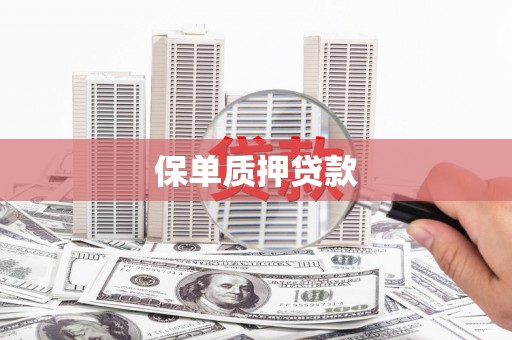 苑里保单质押贷款