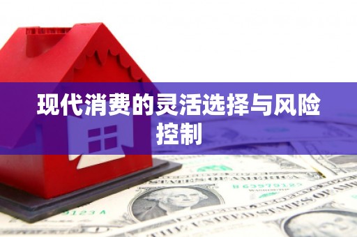 苑里现代消费的灵活选择与风险控制