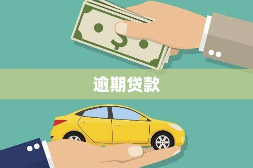 苑里逾期贷款