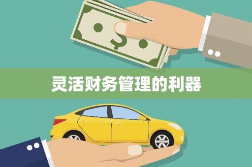 苑里灵活财务管理的利器