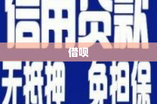 苑里借呗