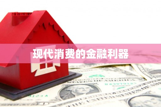 苑里现代消费的金融利器