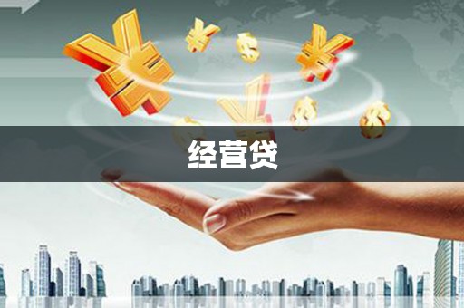 苑里经营贷