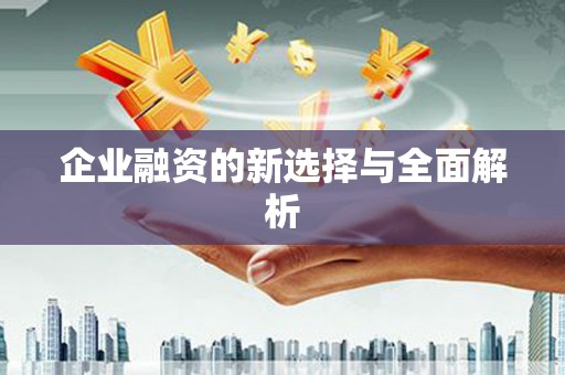 苑里企业融资的新选择与全面解析