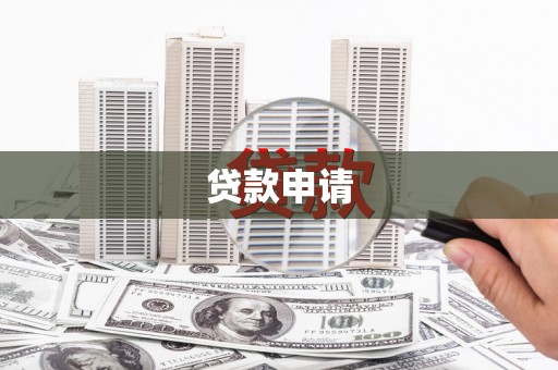 苑里贷款申请