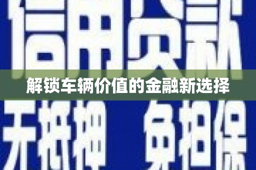 苑里解锁车辆价值的金融新选择
