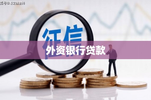 苑里外资银行贷款