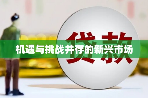 苑里机遇与挑战并存的新兴市场