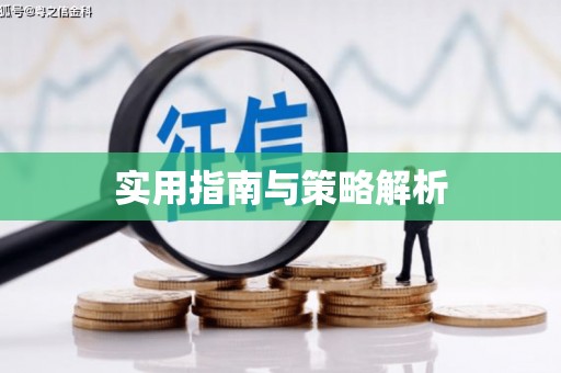 苑里实用指南与策略解析