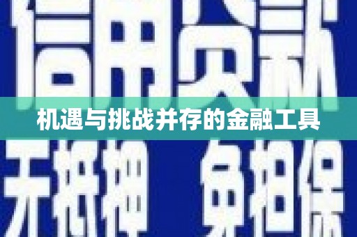 苑里机遇与挑战并存的金融工具
