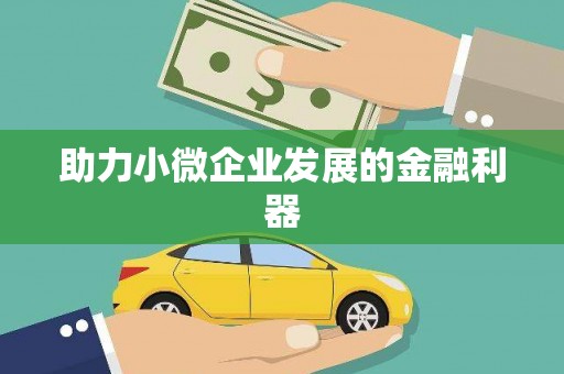 苑里助力小微企业发展的金融利器