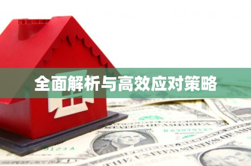 苑里全面解析与高效应对策略