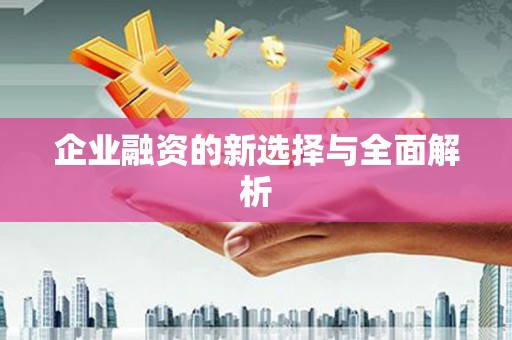 苑里企业融资的新选择与全面解析