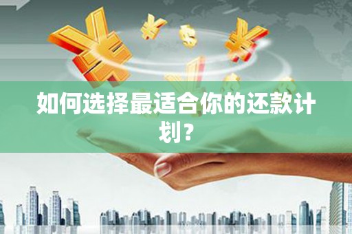 苑里如何选择最适合你的还款计划？