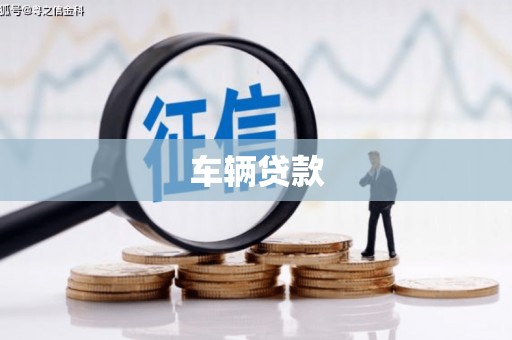 苑里车辆贷款