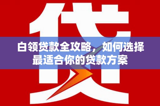 苑里白领贷款全攻略，如何选择最适合你的贷款方案