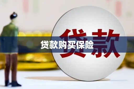 苑里贷款购买保险