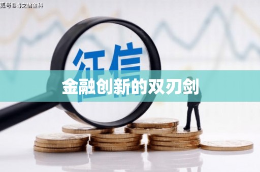 苑里金融创新的双刃剑