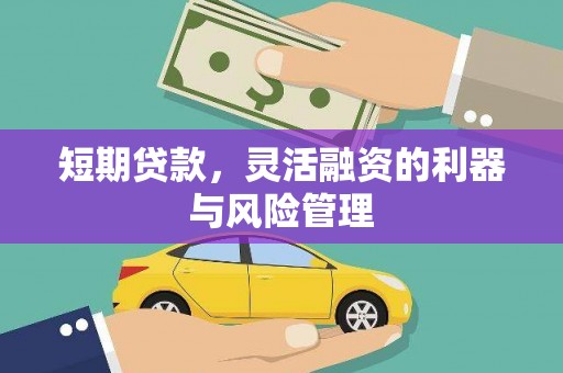 苑里短期贷款，灵活融资的利器与风险管理