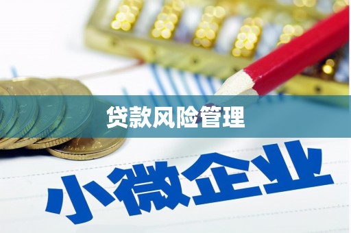 苑里贷款风险管理