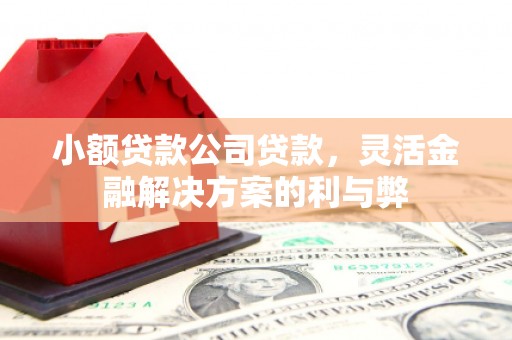 苑里小额贷款公司贷款，灵活金融解决方案的利与弊