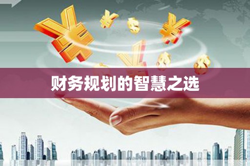苑里财务规划的智慧之选