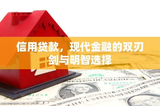 苑里信用贷款，现代金融的双刃剑与明智选择