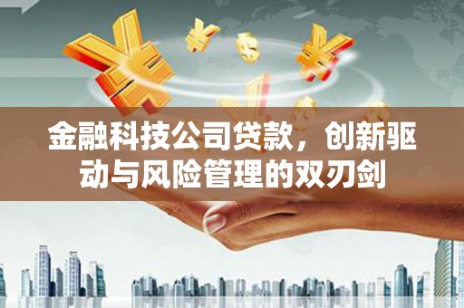 苑里金融科技公司贷款，创新驱动与风险管理的双刃剑